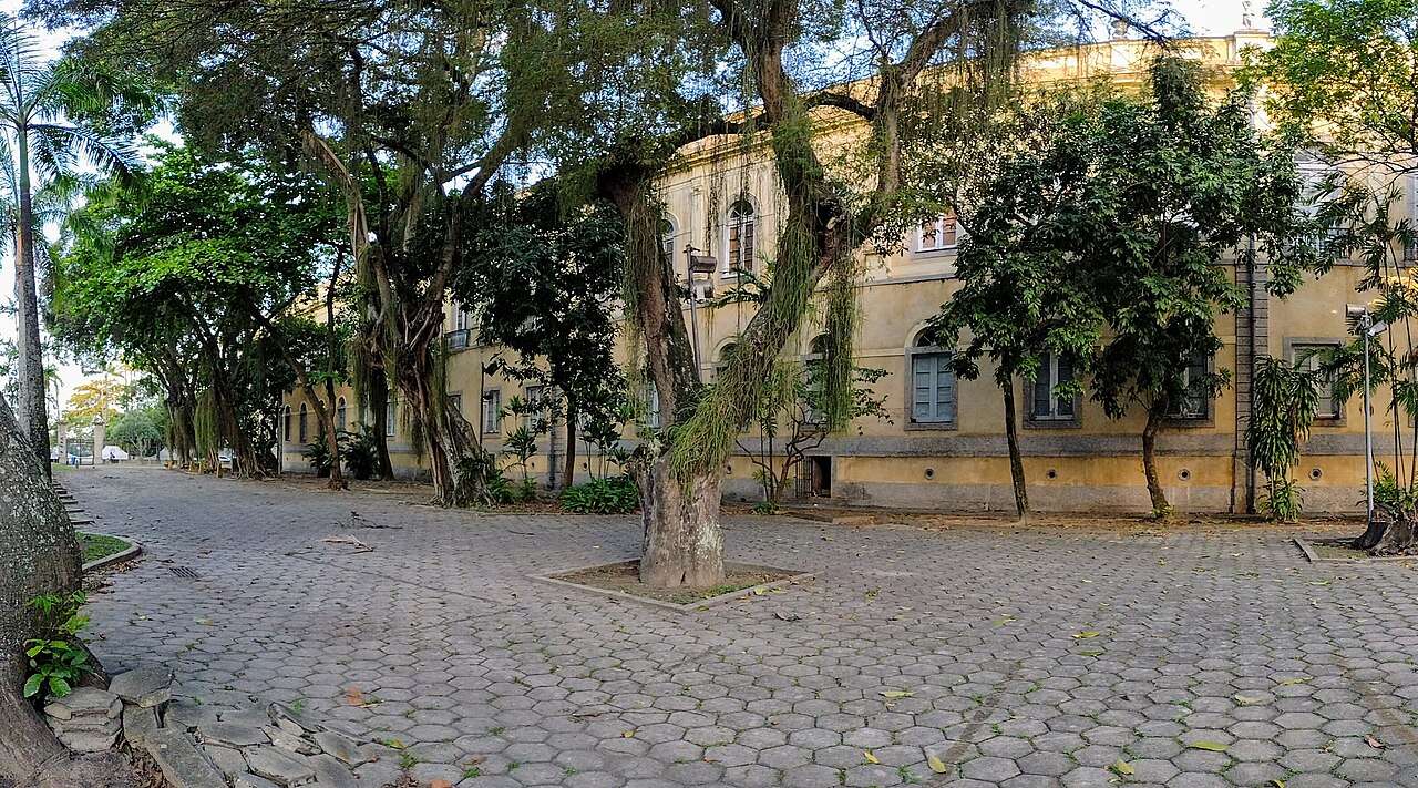 Calçada portuguesa e figueiras no campus da Praia Vermelha